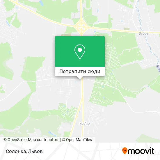 Карта Солонка