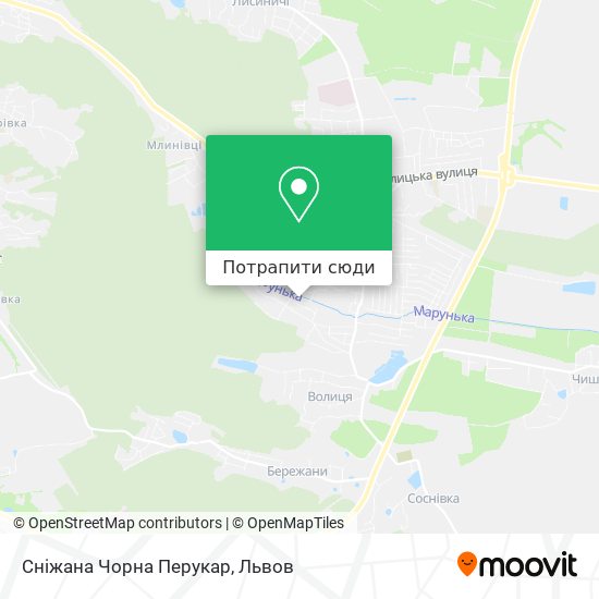 Карта Сніжана Чорна Перукар