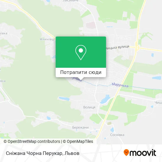 Карта Сніжана Чорна Перукар