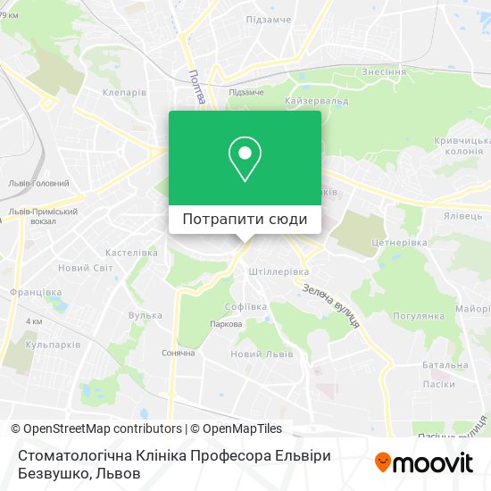 Карта Стоматологічна Клініка Професора Ельвіри Безвушко