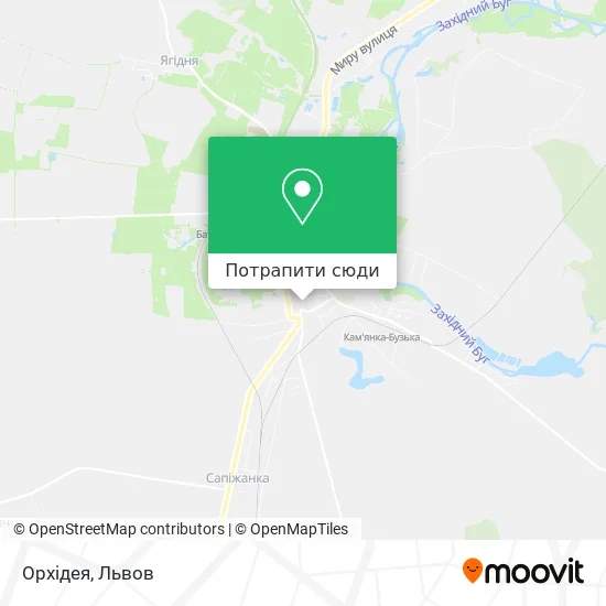 Карта Орхідея