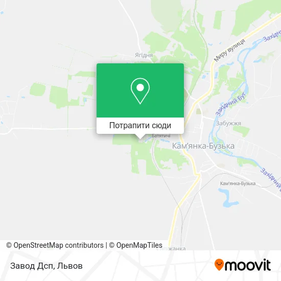 Карта Завод Дсп