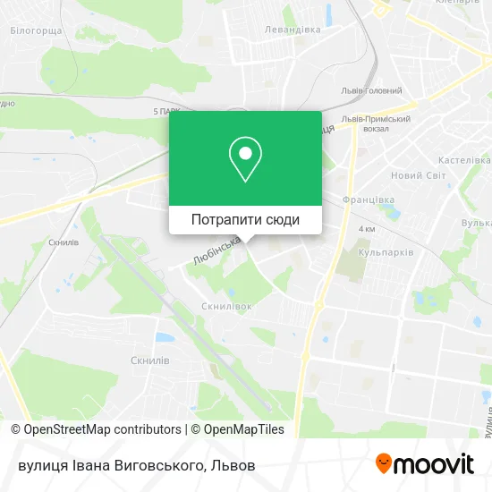 Карта вулиця Івана Виговського