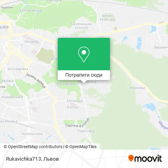 Карта Rukavichka713