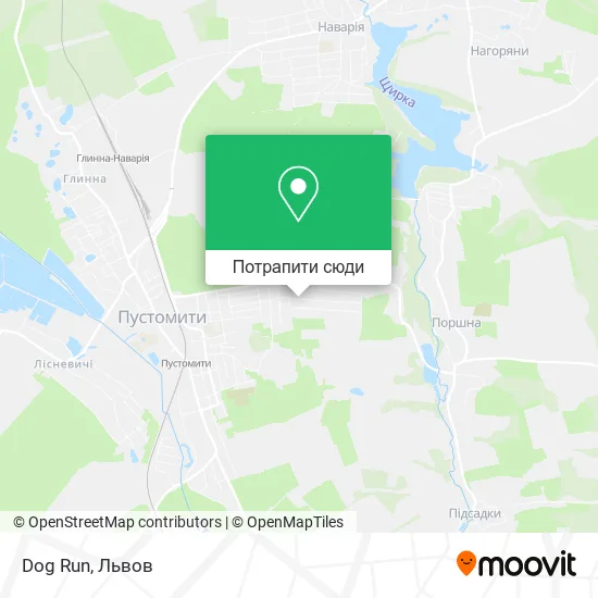 Карта Dog Run
