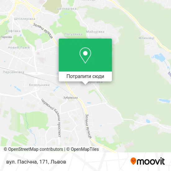 Карта вул. Пасічна, 171