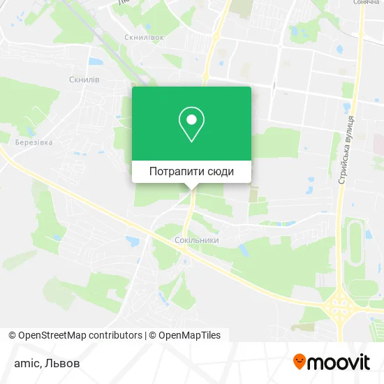 Карта amic