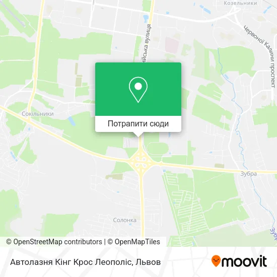 Карта Автолазня Кінг Крос Леополіс