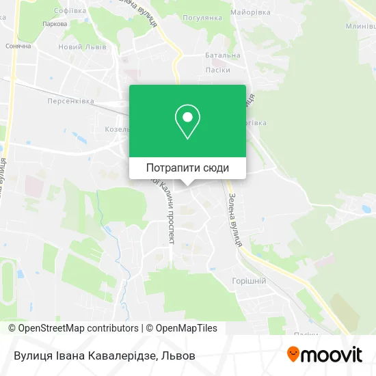 Карта Вулиця Івана Кавалерідзе