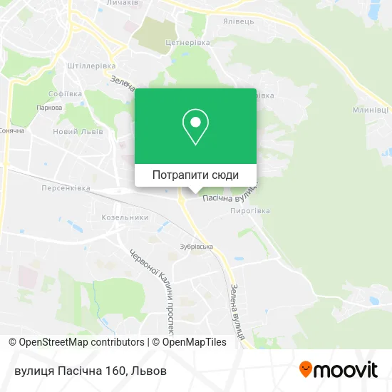 Карта вулиця Пасічна 160