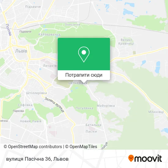 Карта вулиця Пасічна 36