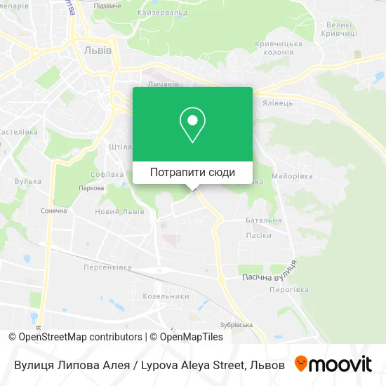 Карта Вулиця Липова Алея / Lypova Aleya Street