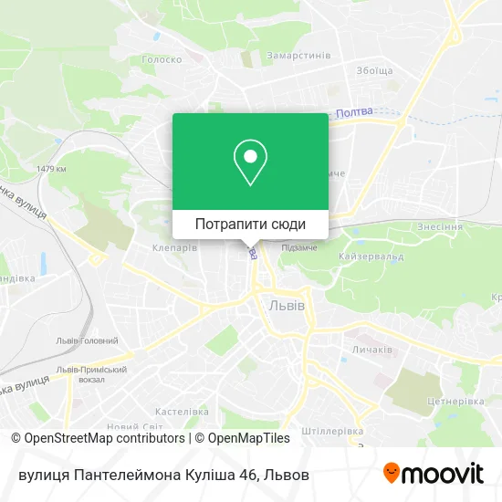 Карта вулиця Пантелеймона Куліша 46