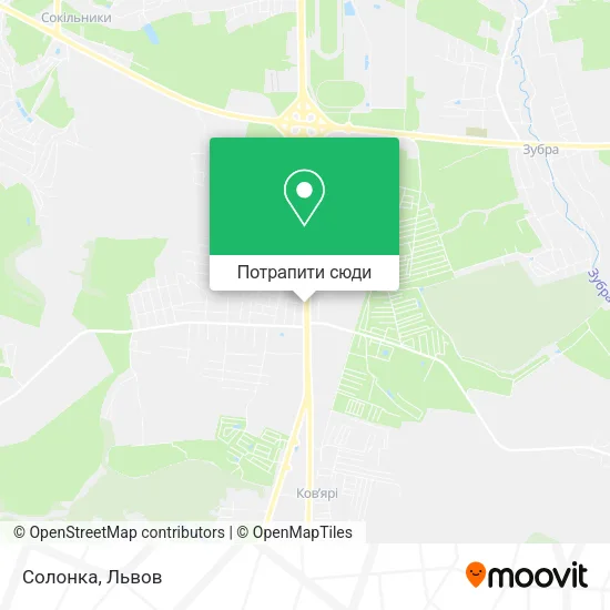 Карта Солонка