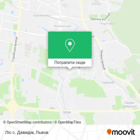 Карта Ліс с. Давидів