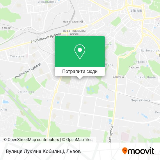 Карта Вулиця Лук'яна Кобилиці