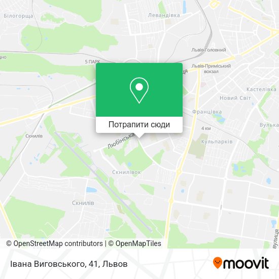 Карта Івана Виговського, 41