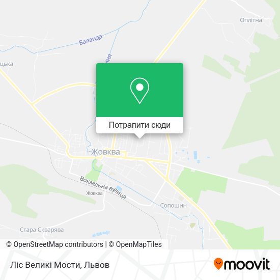 Карта Ліс Великі Мости