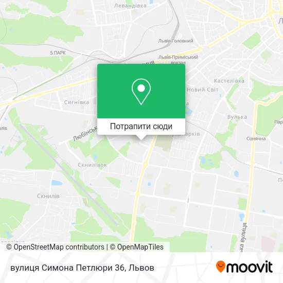 Карта вулиця Симона Петлюри 36