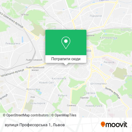 Карта вулиця Професорська 1