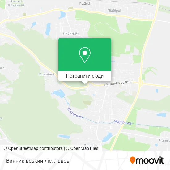 Карта Винниківський ліс