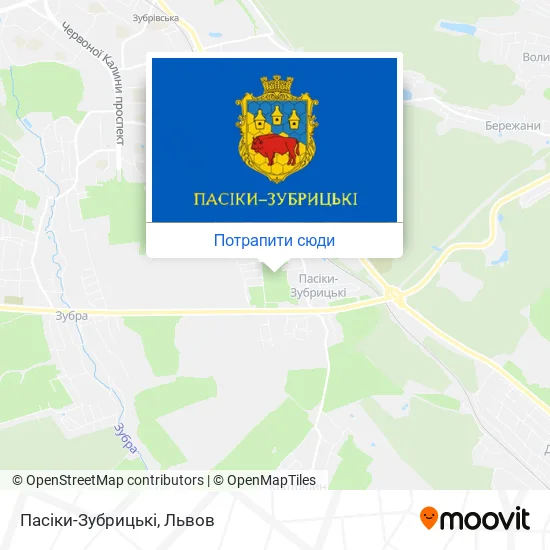 Карта Пасіки-Зубрицькі