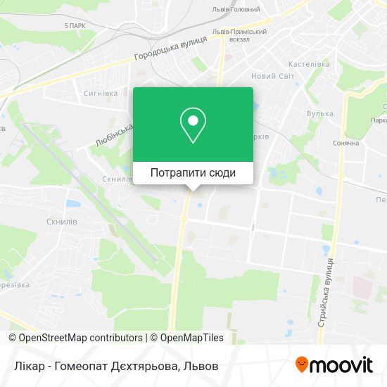 Карта Лікар - Гомеопат Дєхтярьова