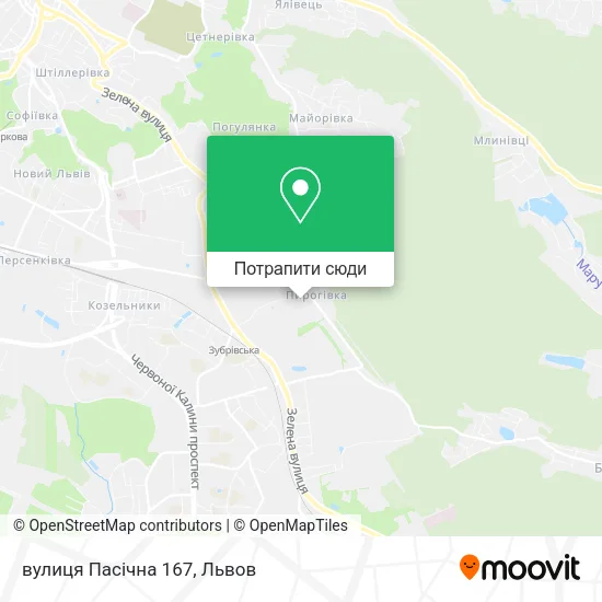 Карта вулиця Пасічна 167