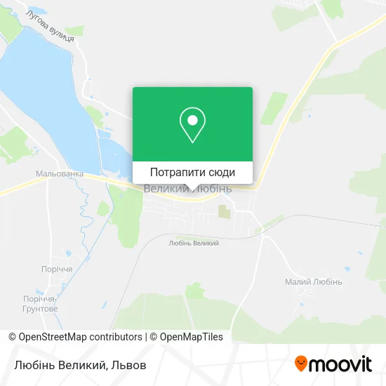 Карта Любінь Великий