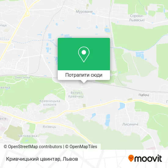 Карта Кривчицький цвинтар