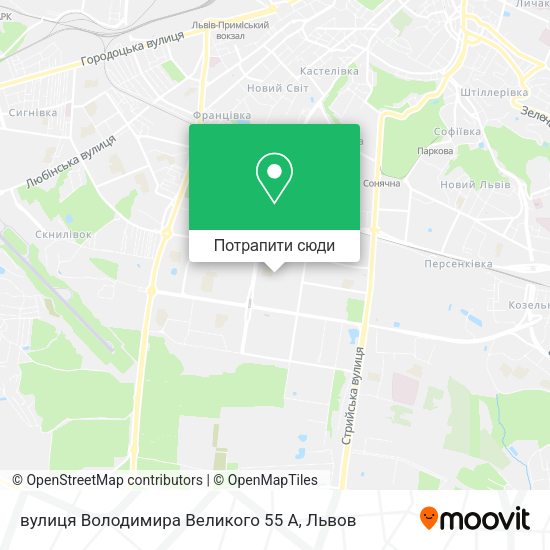 Карта вулиця Володимира Великого 55 А