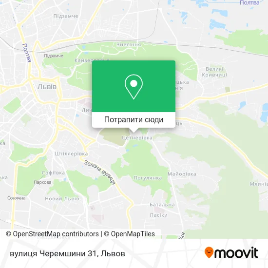 Карта вулиця Черемшини 31