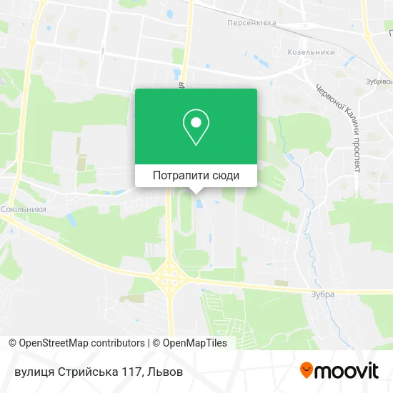 Карта вулиця Стрийська 117
