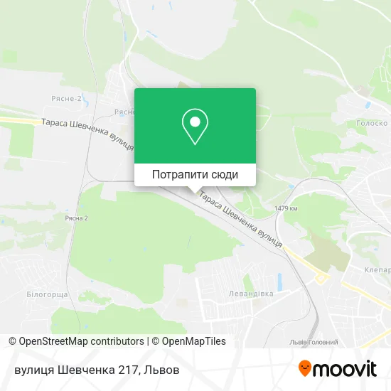 Карта вулиця Шевченка 217