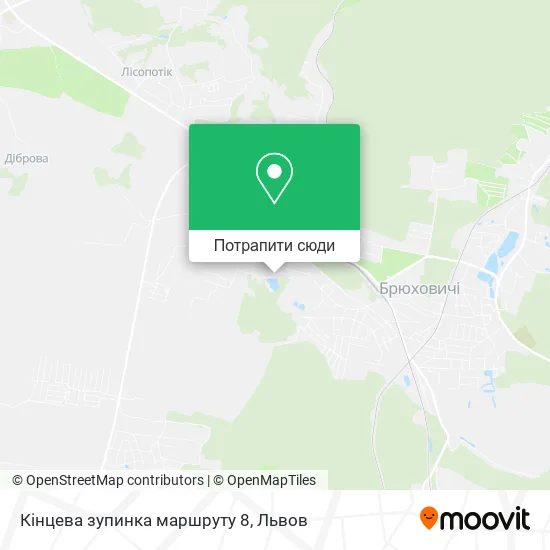 Карта Кінцева зупинка маршруту 8