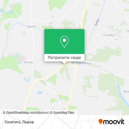 Карта Гонятичі