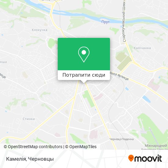 Карта Камелія