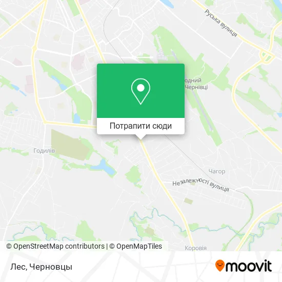 Карта Лес
