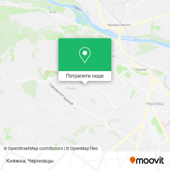 Карта Княжна