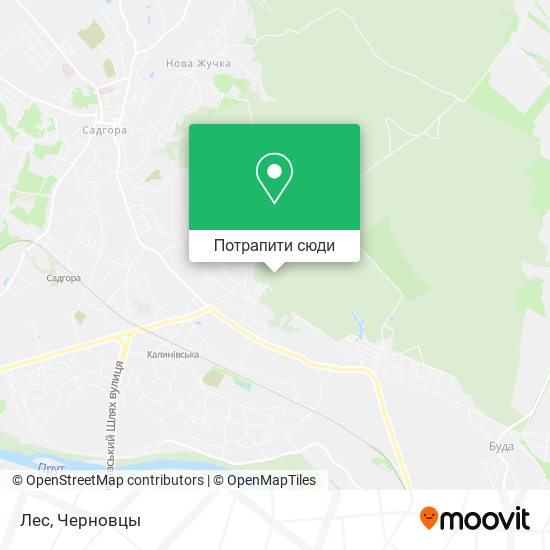 Карта Лес