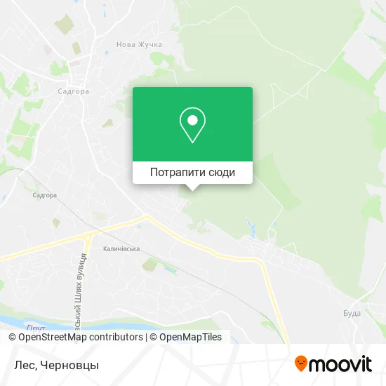 Карта Лес
