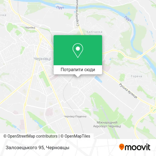 Карта Залозецького 95
