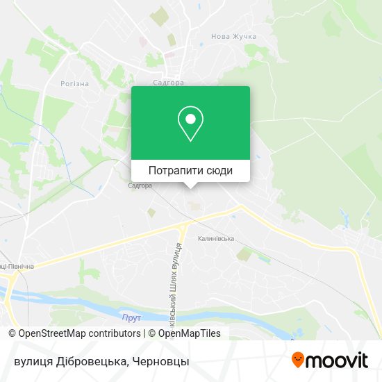 Карта вулиця Дібровецька