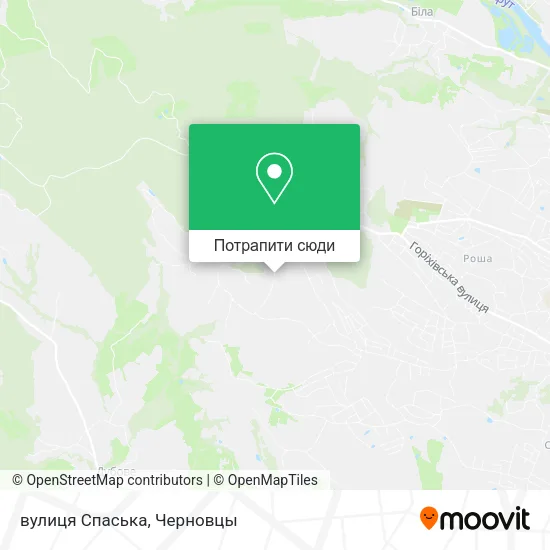 Карта вулиця Спаська