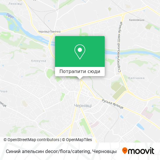 Карта Синий апельсин decor / flora / catering