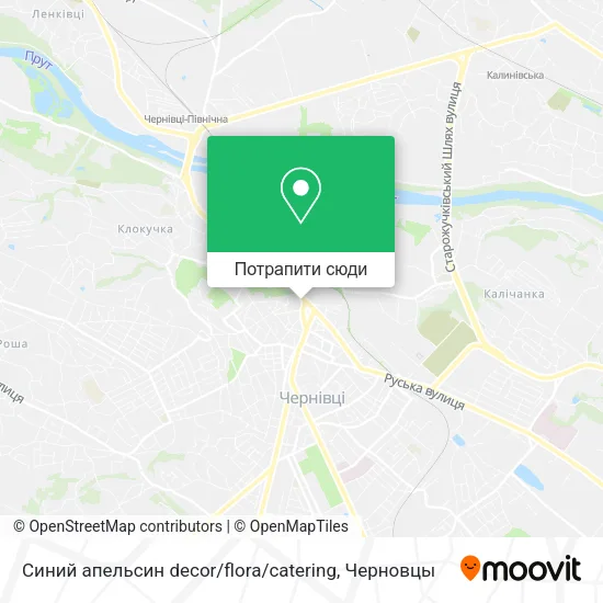 Карта Синий апельсин decor / flora / catering