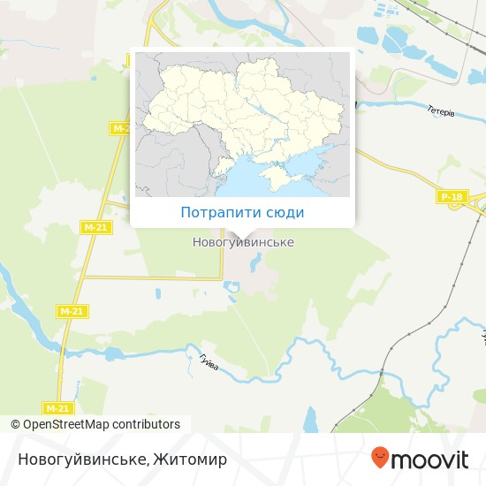 Карта Новогуйвинське
