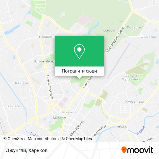 Карта Джунгли