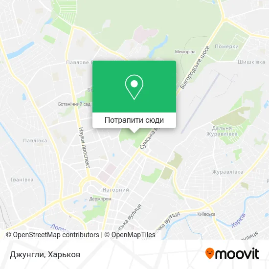 Карта Джунгли