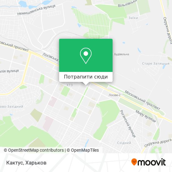 Карта Кактус